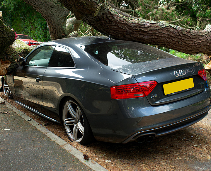 Reclamació de danys provocats per les fortes ventades